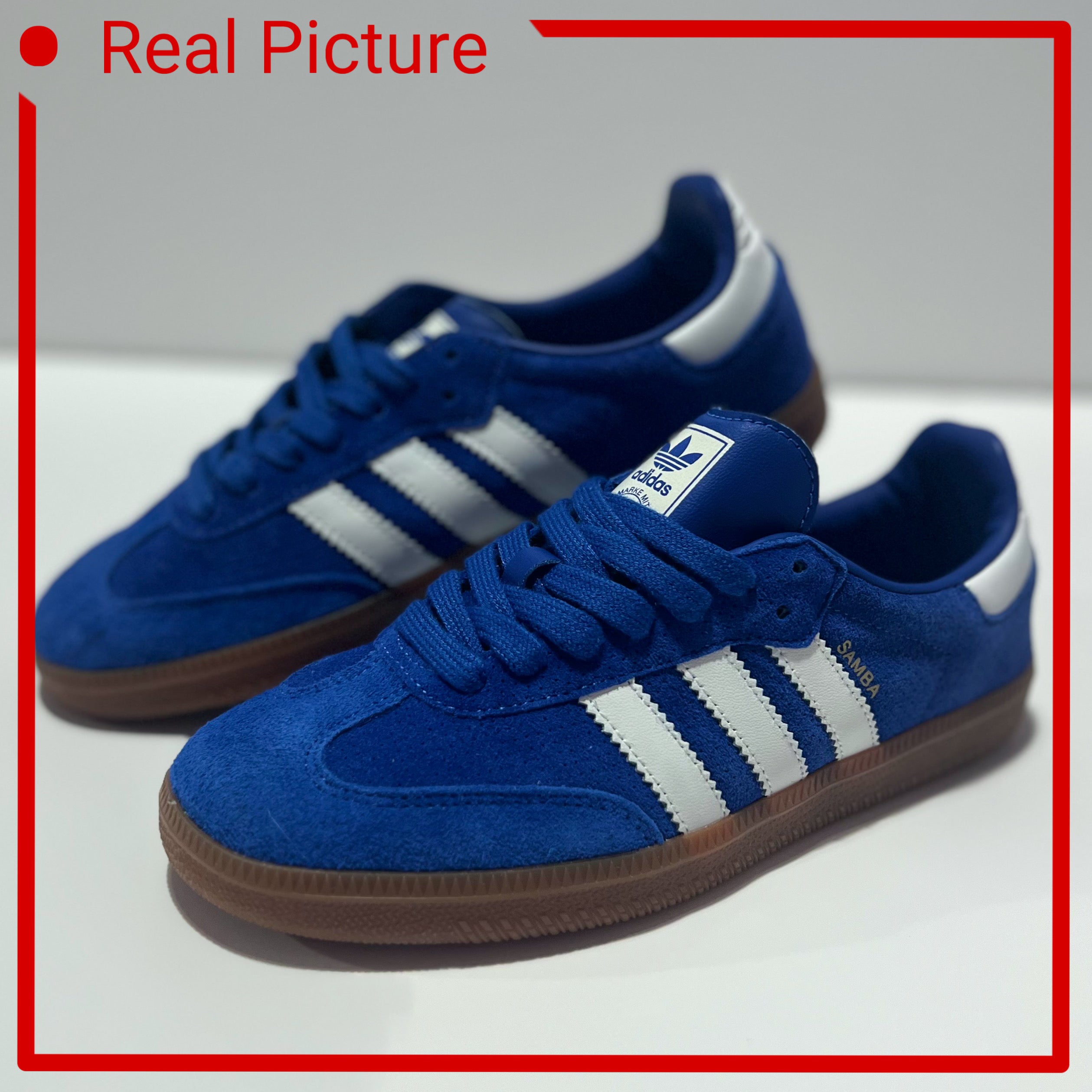 Samba OG "Royal Blue Gum"